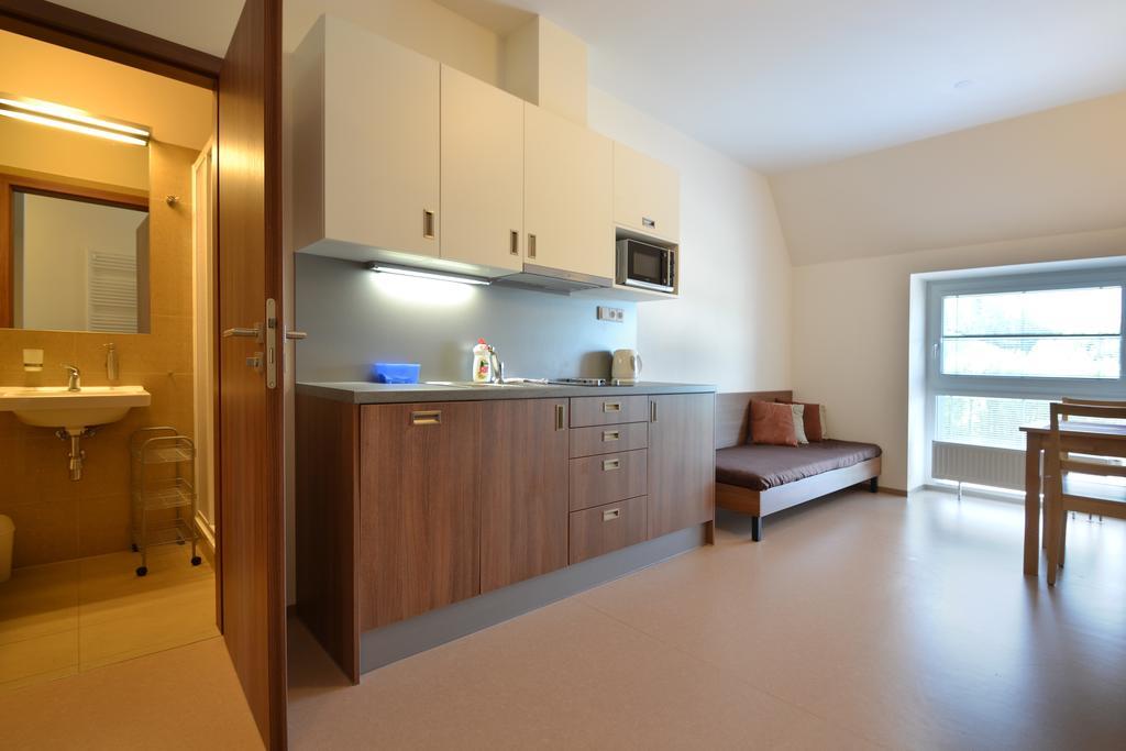 Apartmany Rokytka Snowhouse Рокитнице над Ийзероу Екстериор снимка